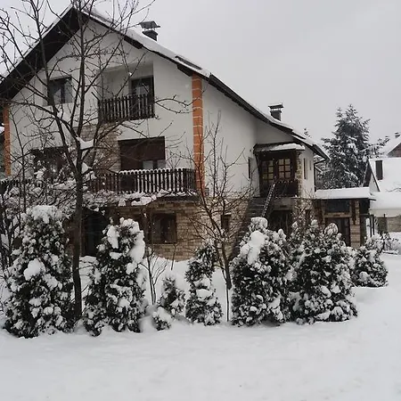 Bucic Zlatibor